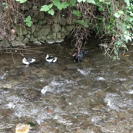 Galata's Bridge * Γαλάτα