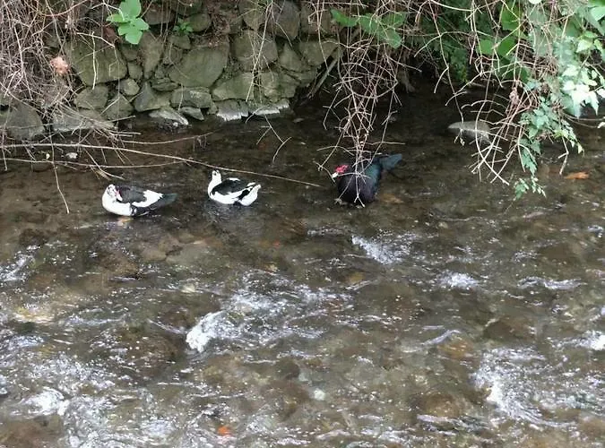 Galata's Bridge * Galata
